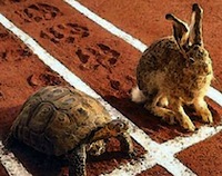 Racy hedge funds are lagging boring ETF portfolios