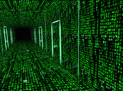 How I entered the matrix of endlessly watching numbers on a screen