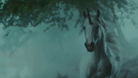 An image of a unicorn.